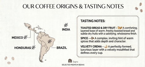 Si Sogno COMO Freshly Ground Coffee Bags, Bold and Intense Dark Roast (Resealable Pouch of 50 Eco-Friendly Coffee Bags)